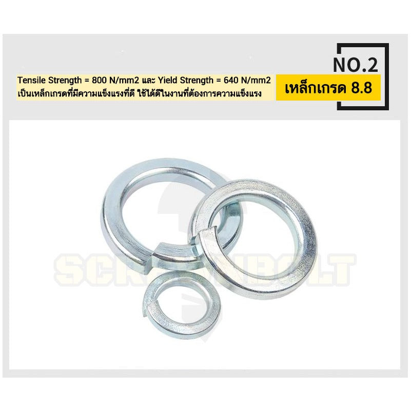 แหวนสปริง แหวนรอง กันคลาย เหล็กแข็ง 8.8 ชุบขาว/ฟ้า - M3 - M24 / 8.8 Grade Spring Washer White Zinc