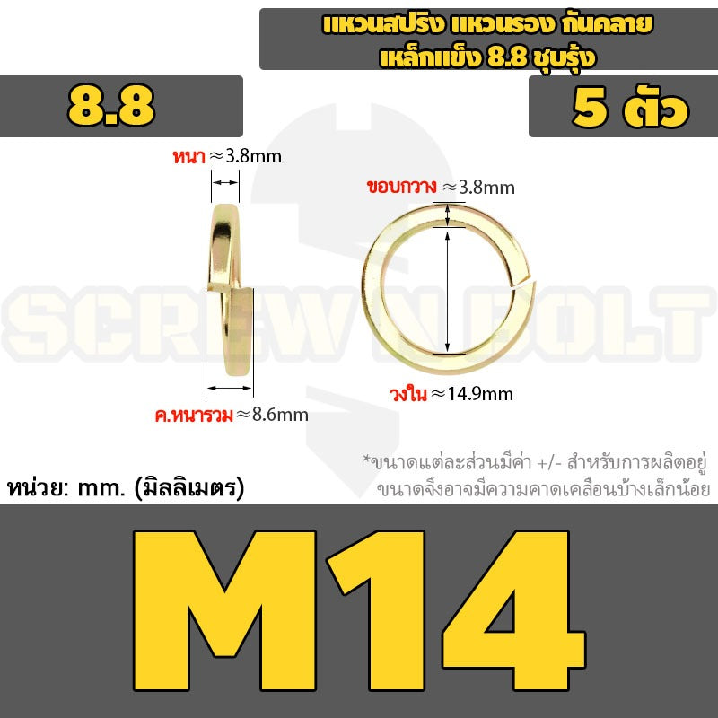 แหวนสปริง แหวนรอง กันคลาย เหล็กแข็ง 8.8 ชุบรุ้ง - M5 - M24 / 8.8 Grade Spring Washer Yellow Zinc