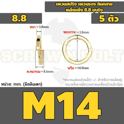 แหวนสปริง แหวนรอง กันคลาย เหล็กแข็ง 8.8 ชุบรุ้ง - M5 - M24 / 8.8 Grade Spring Washer Yellow Zinc