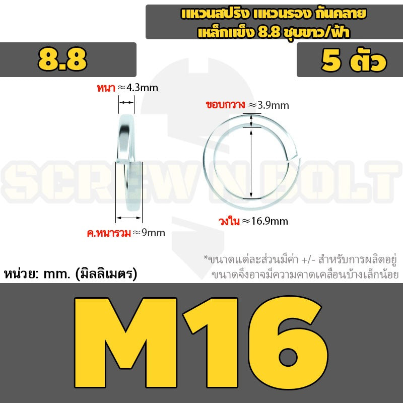 แหวนสปริง แหวนรอง กันคลาย เหล็กแข็ง 8.8 ชุบขาว/ฟ้า - M3 - M24 / 8.8 Grade Spring Washer White Zinc