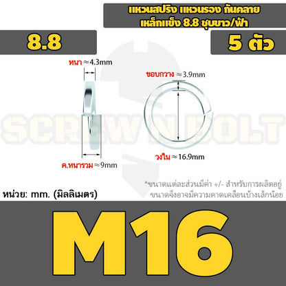 แหวนสปริง แหวนรอง กันคลาย เหล็กแข็ง 8.8 ชุบขาว/ฟ้า - M3 - M24 / 8.8 Grade Spring Washer White Zinc